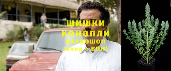 шишки Алексин
