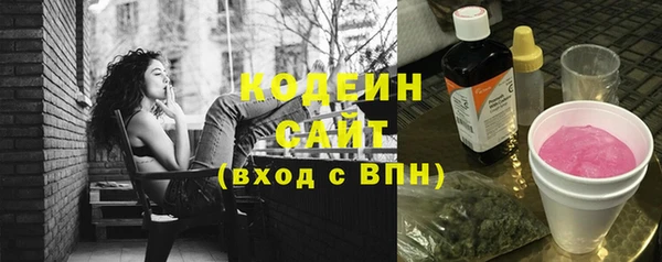 шишки Алексин