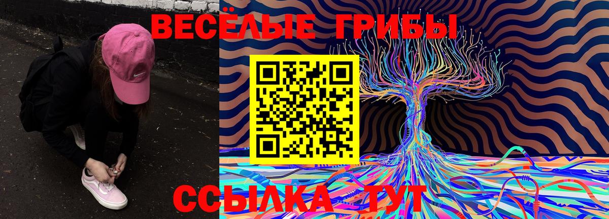 Галлюциногенные грибы MAGIC MUSHROOMS Слободской